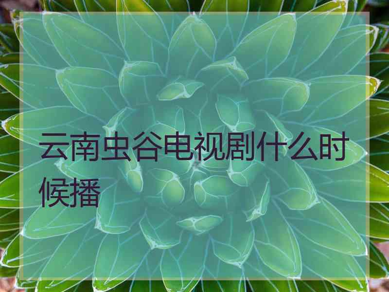 云南虫谷电视剧什么时候播