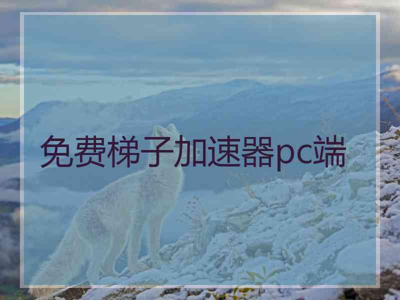 免费梯子加速器pc端