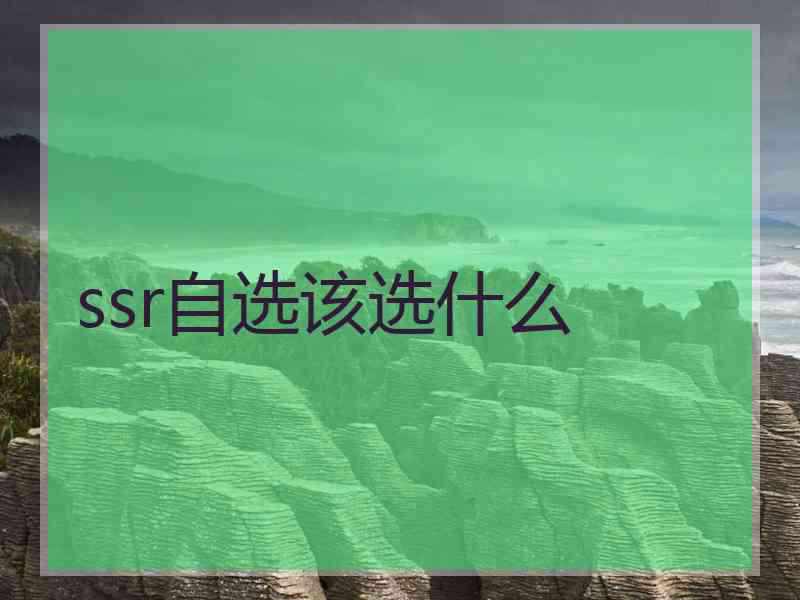 ssr自选该选什么