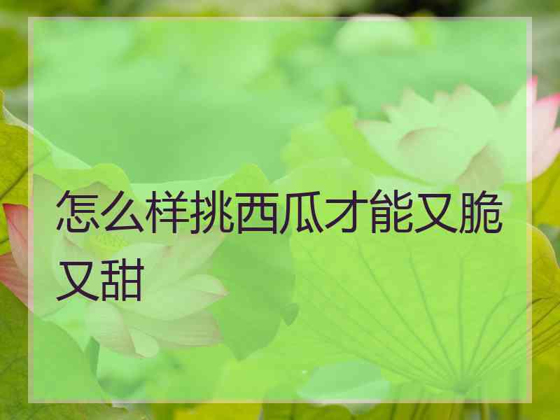 怎么样挑西瓜才能又脆又甜