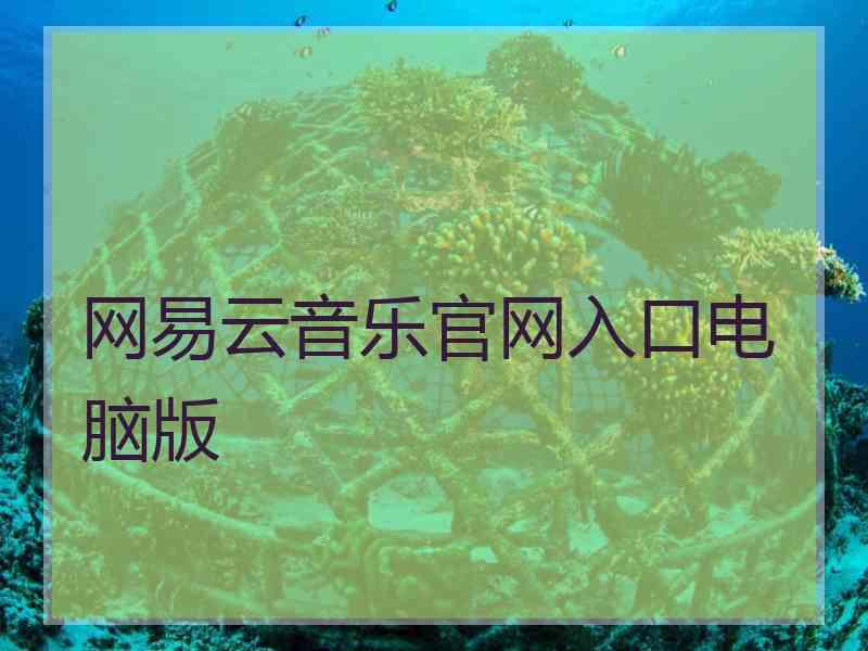 网易云音乐官网入口电脑版