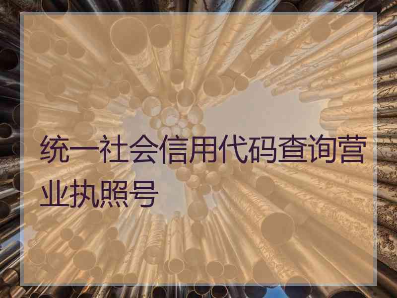 统一社会信用代码查询营业执照号