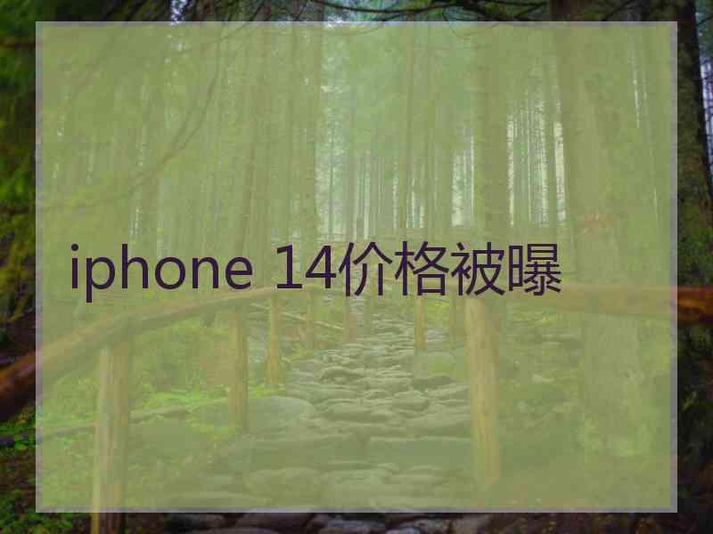 iphone 14价格被曝