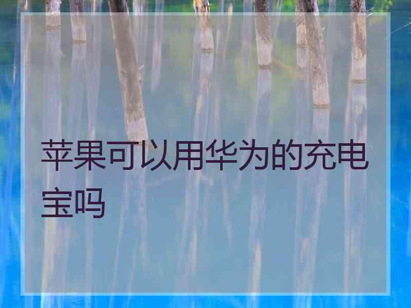 苹果可以用华为的充电宝吗