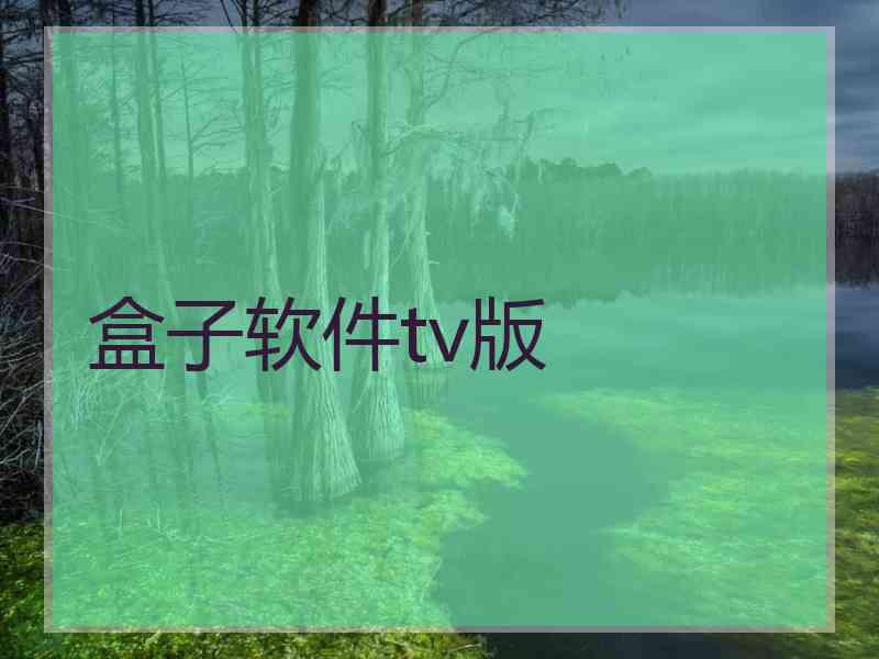 盒子软件tv版