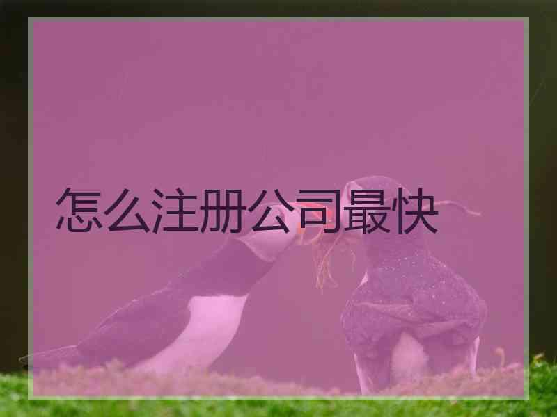 怎么注册公司最快