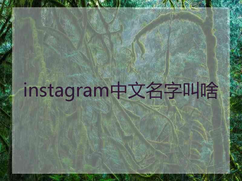 instagram中文名字叫啥