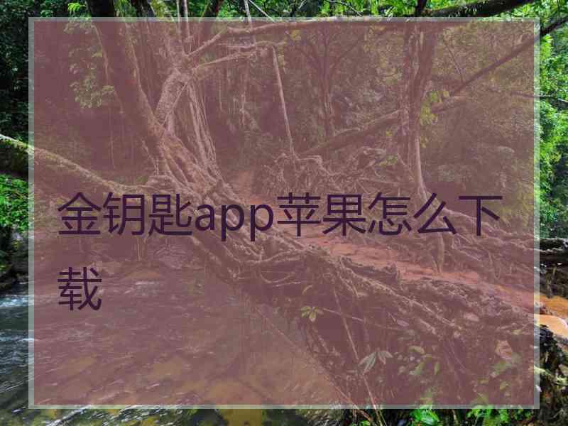 金钥匙app苹果怎么下载