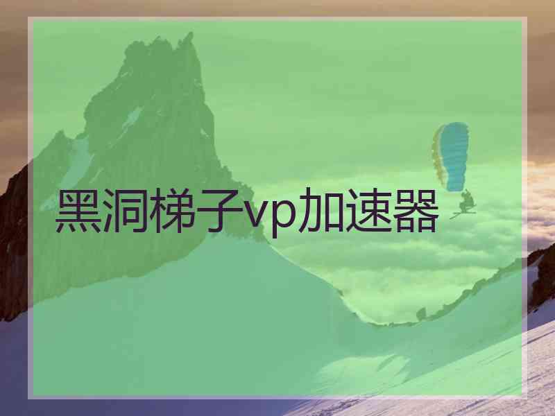 黑洞梯子vp加速器