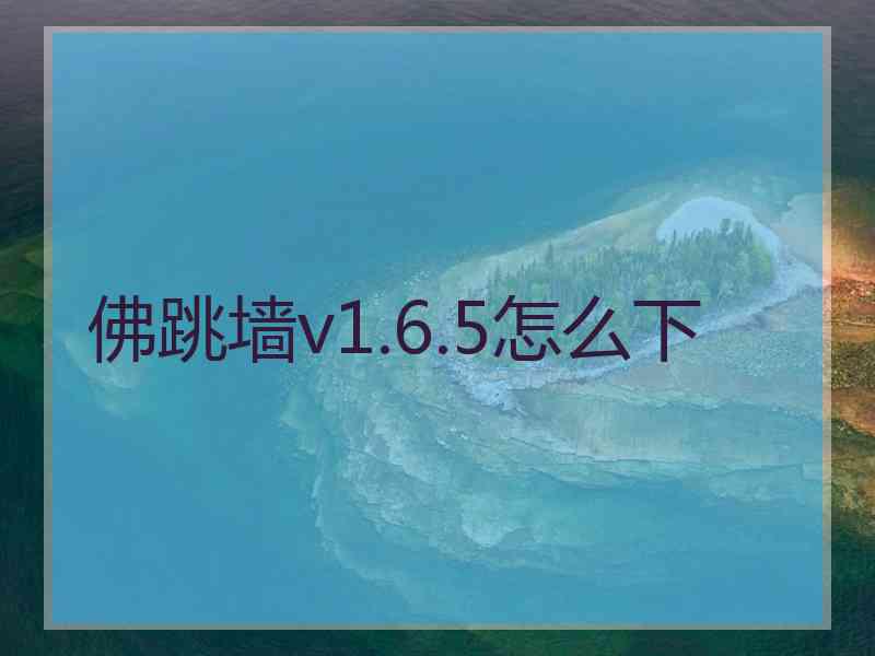 佛跳墙v1.6.5怎么下