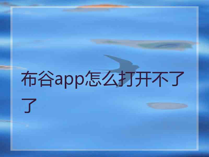 布谷app怎么打开不了了