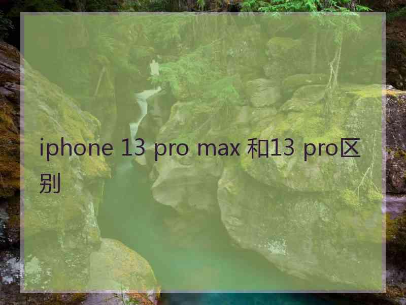 iphone 13 pro max 和13 pro区别