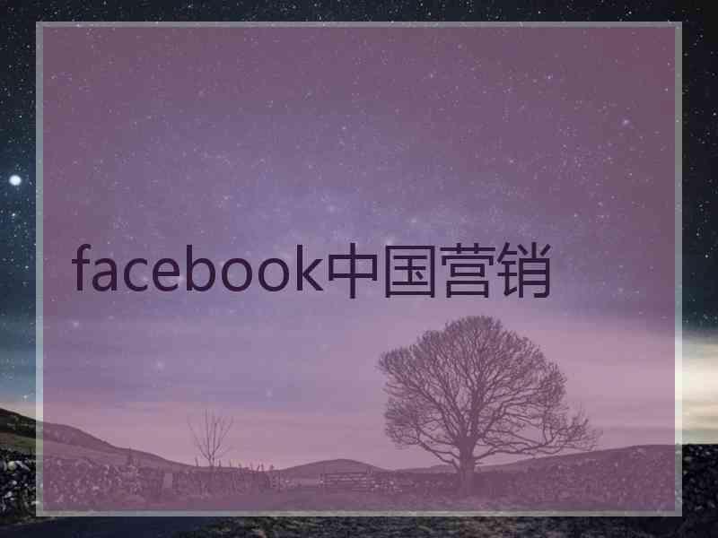 facebook中国营销