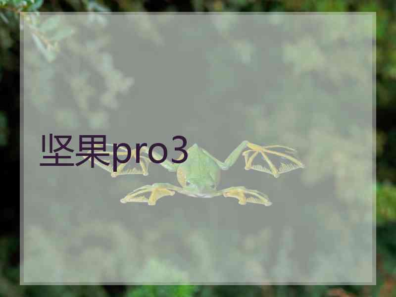 坚果pro3