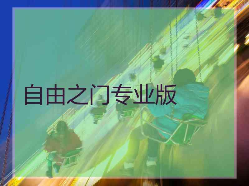 自由之门专业版