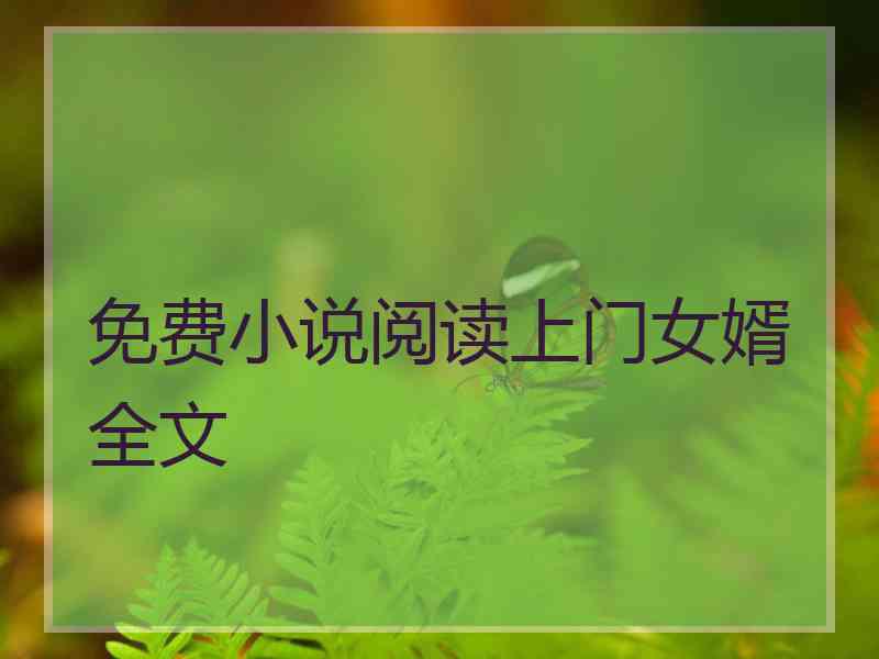 免费小说阅读上门女婿全文