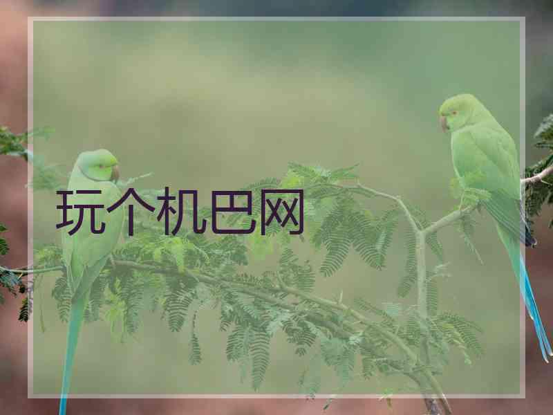 玩个机巴网