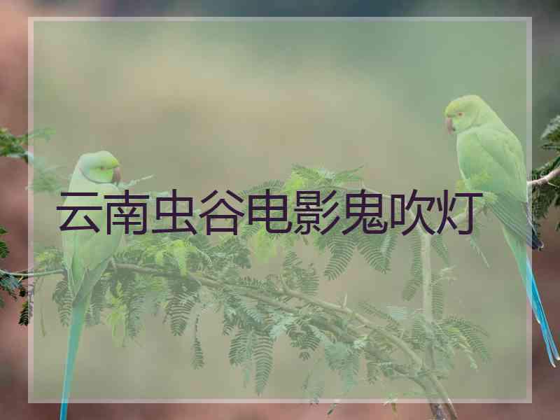 云南虫谷电影鬼吹灯