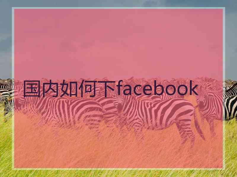 国内如何下facebook