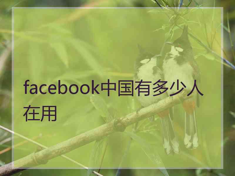 facebook中国有多少人在用