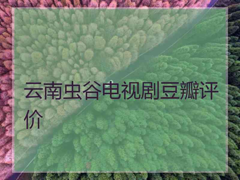 云南虫谷电视剧豆瓣评价