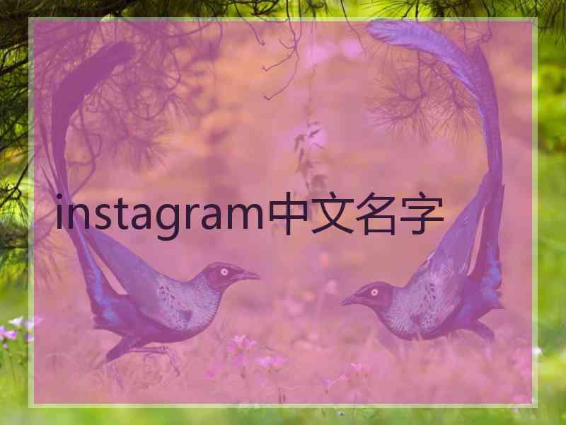 instagram中文名字