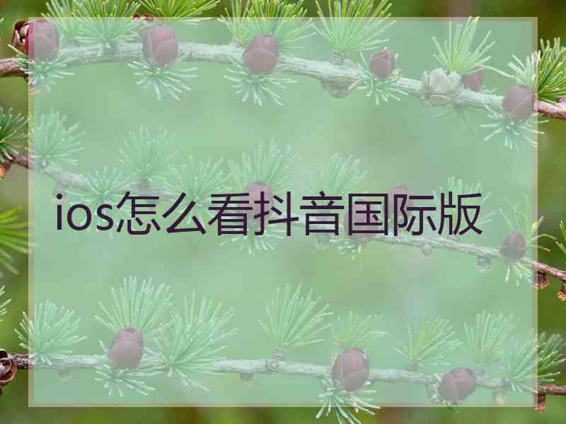 ios怎么看抖音国际版