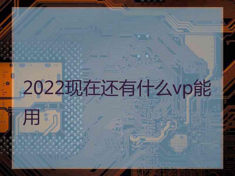 2022现在还有什么vp能用