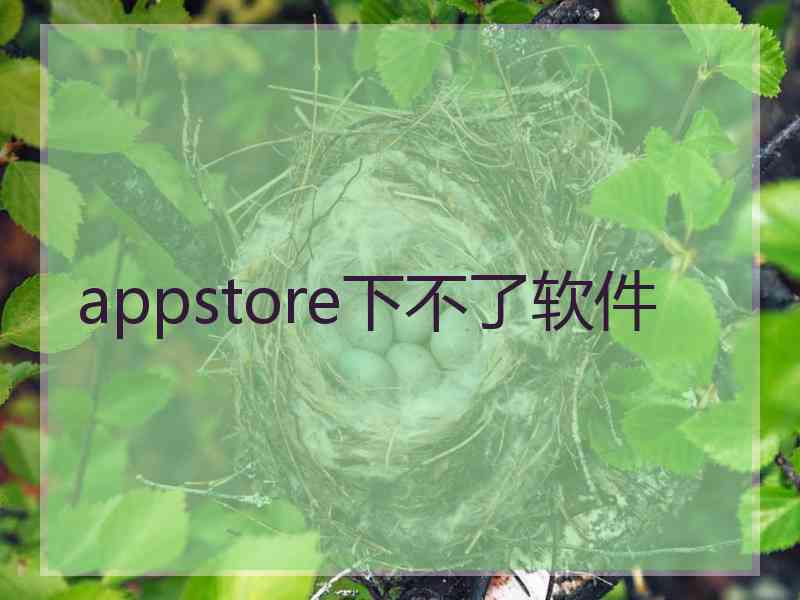 appstore下不了软件