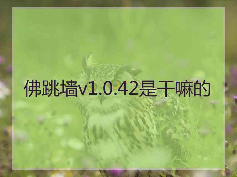 佛跳墙v1.0.42是干嘛的