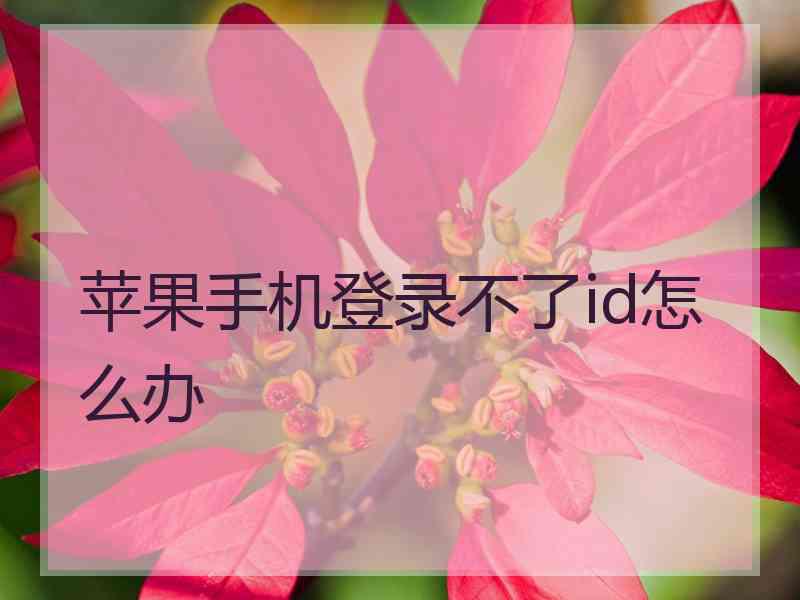 苹果手机登录不了id怎么办