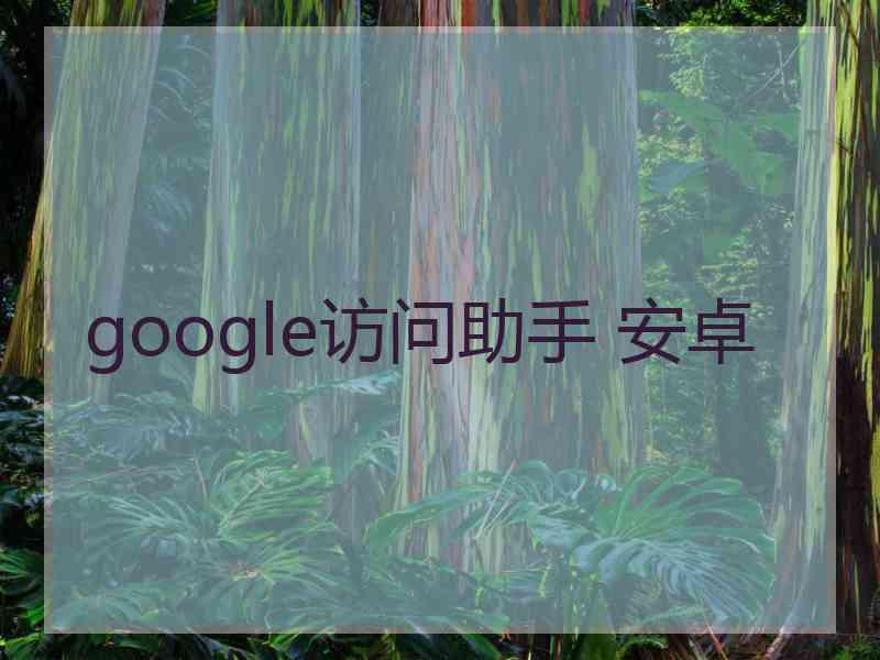 google访问助手 安卓