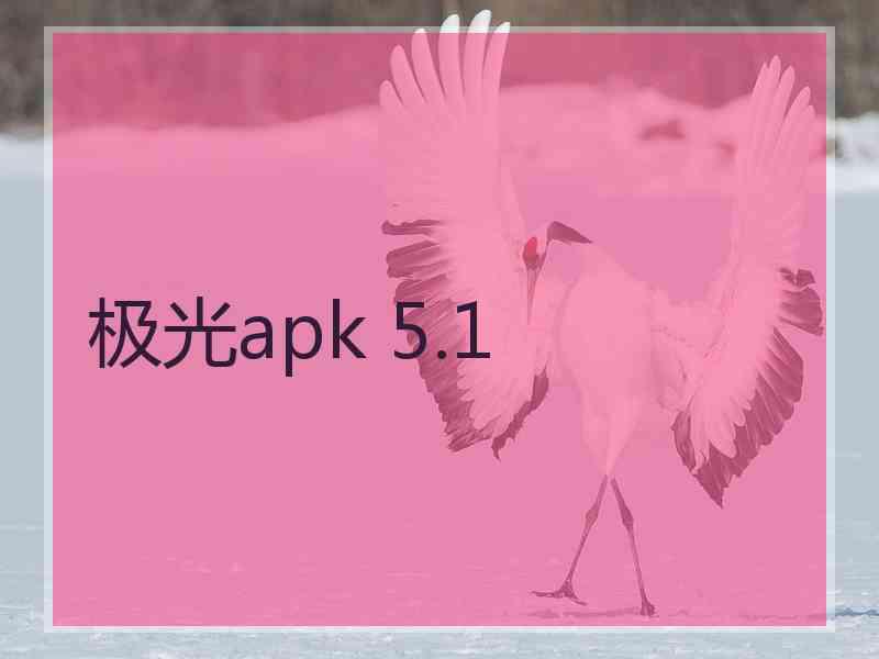 极光apk 5.1