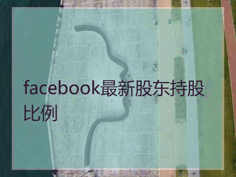 facebook最新股东持股比例