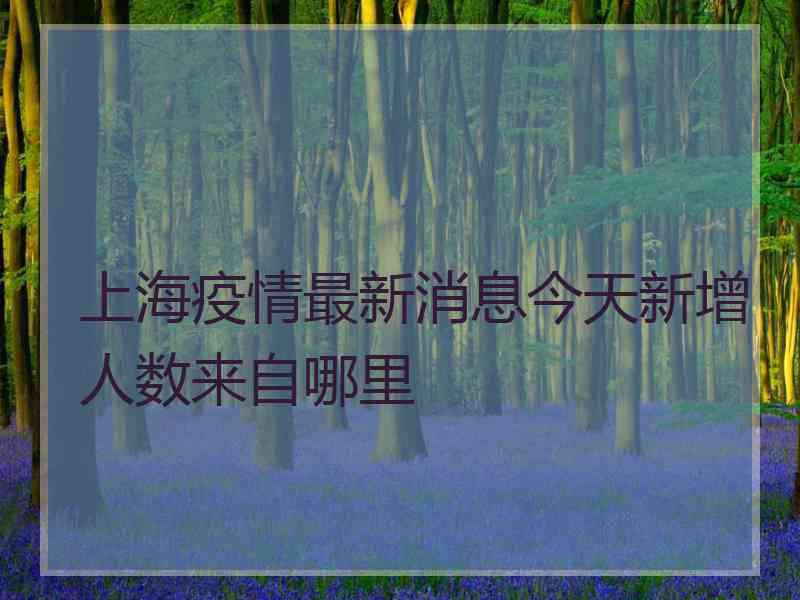 上海疫情最新消息今天新增人数来自哪里