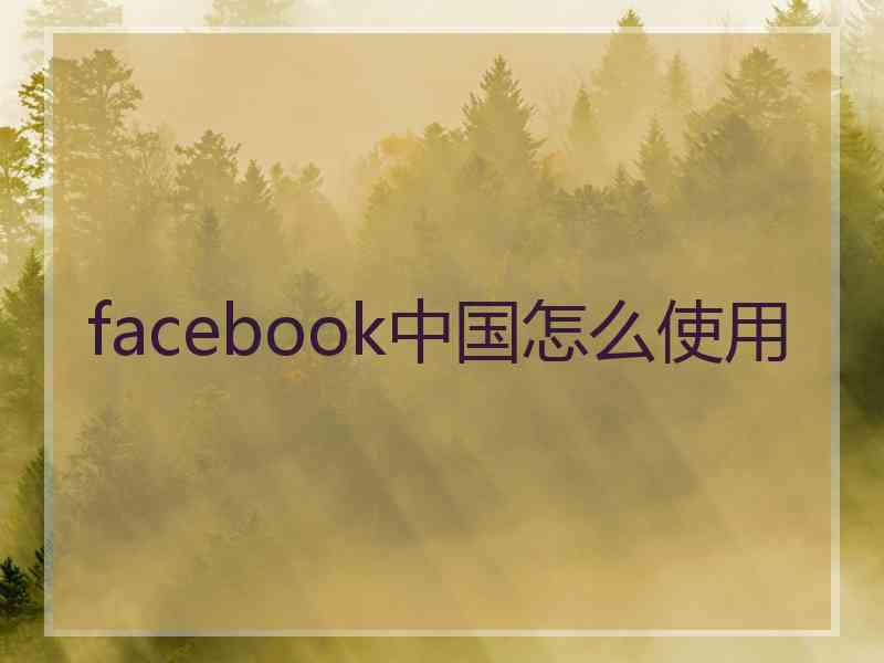 facebook中国怎么使用