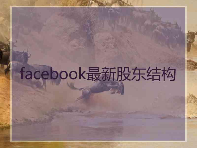 facebook最新股东结构