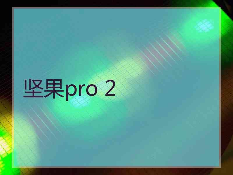 坚果pro 2