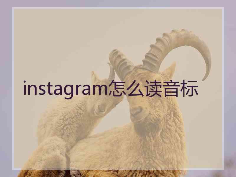 instagram怎么读音标