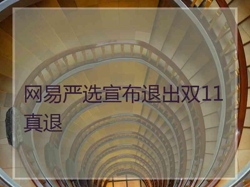 网易严选宣布退出双11真退