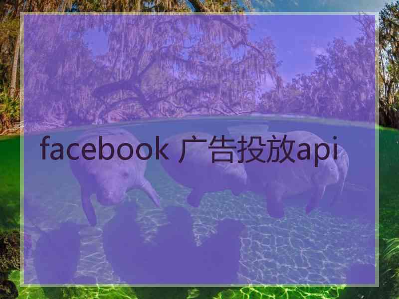 facebook 广告投放api