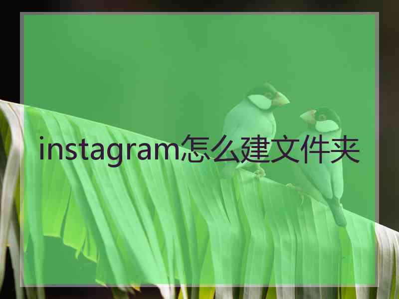 instagram怎么建文件夹