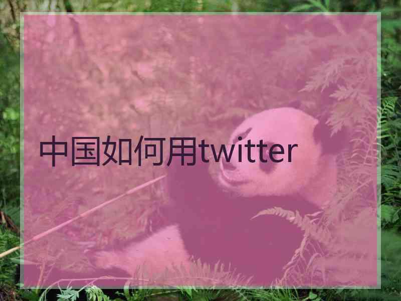 中国如何用twitter