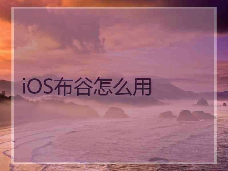 iOS布谷怎么用