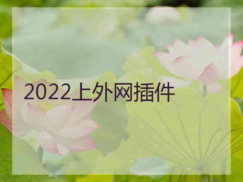 2022上外网插件