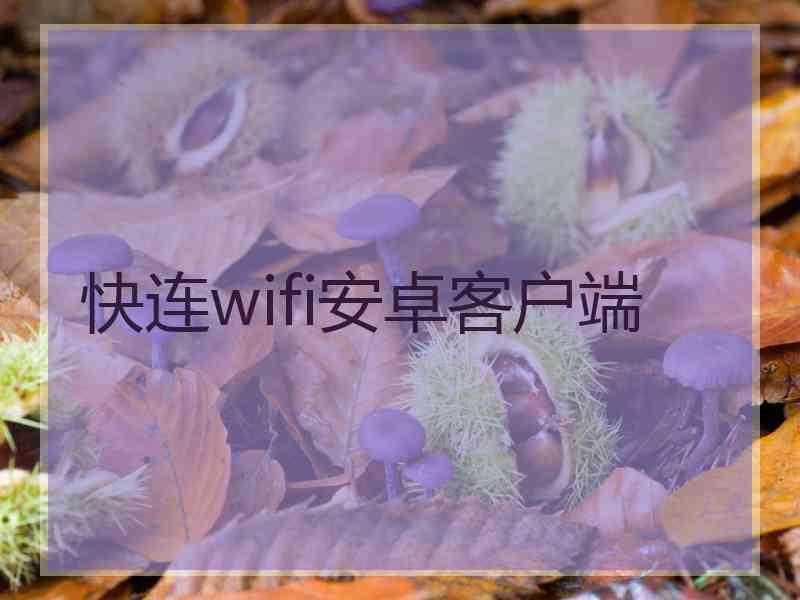 快连wifi安卓客户端