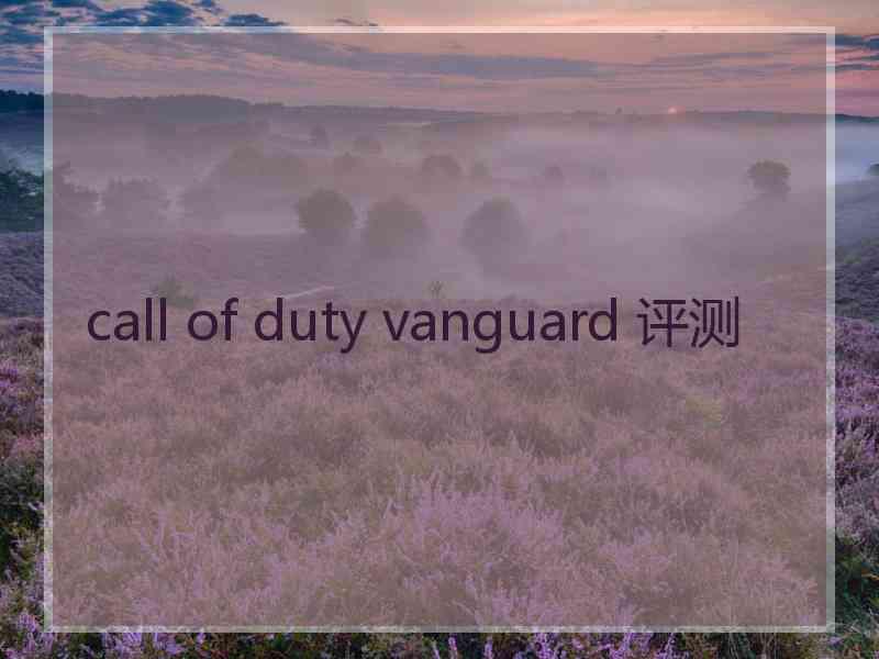 call of duty vanguard 评测