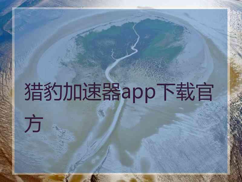 猎豹加速器app下载官方