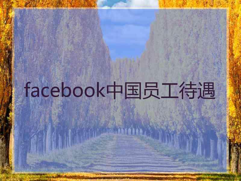 facebook中国员工待遇