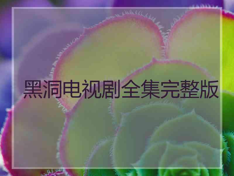 黑洞电视剧全集完整版